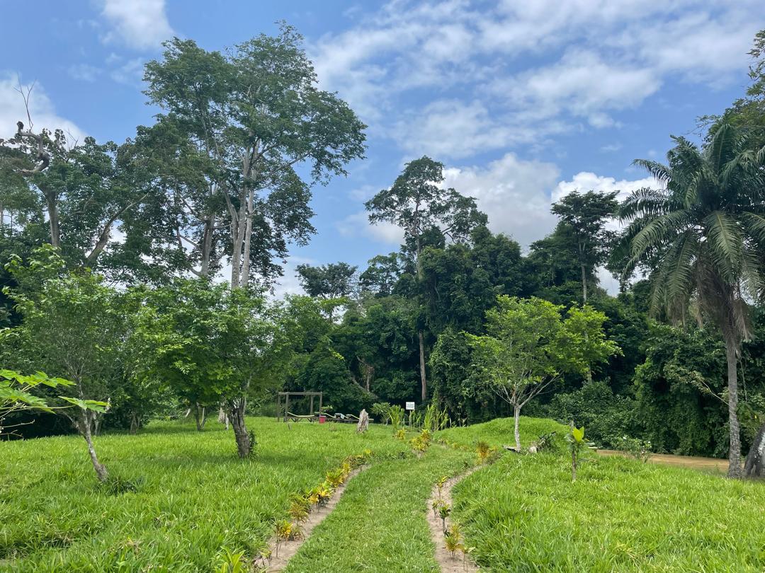 Panorama du Refuge du Bandama entouré de nature
